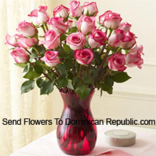 24 Shiny Dual Toned Roses