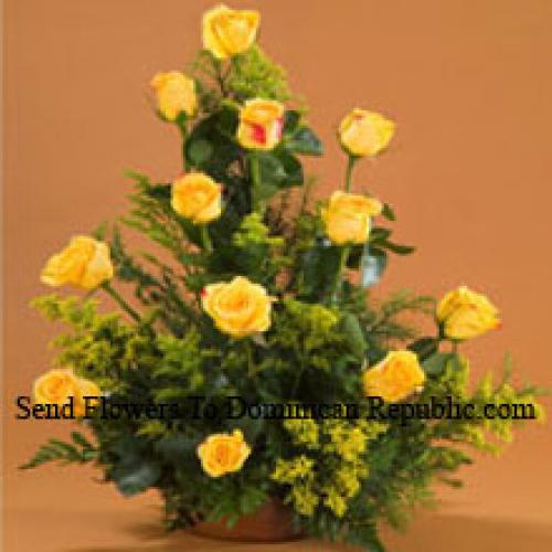 12 Charming Yellow Roses