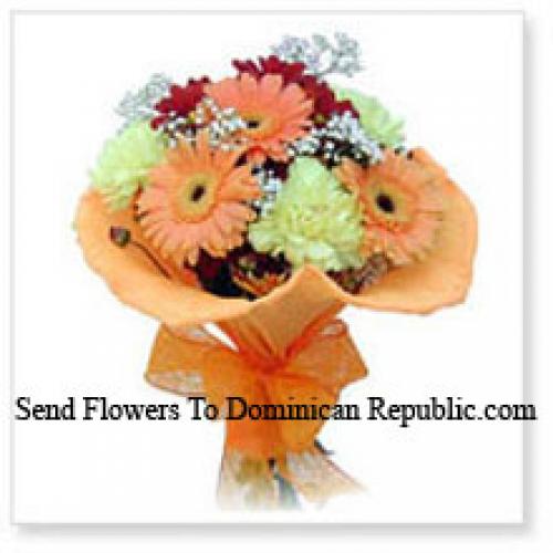 12 Assorted Cute Gerberas