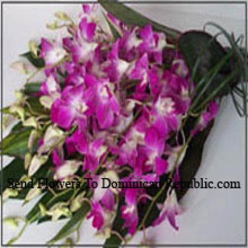 Cute Orchids Bunch