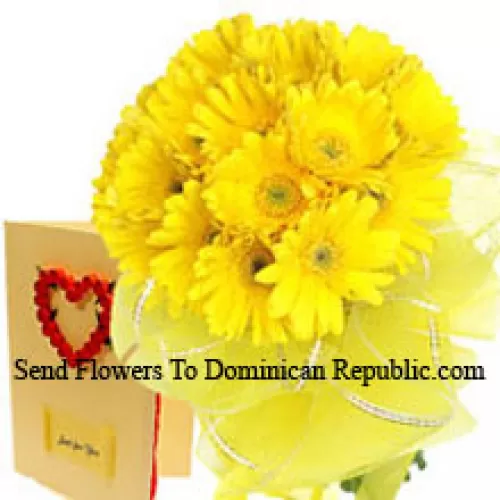 18朵黄色非洲菊花束，附赠一张免费的爱情贺卡