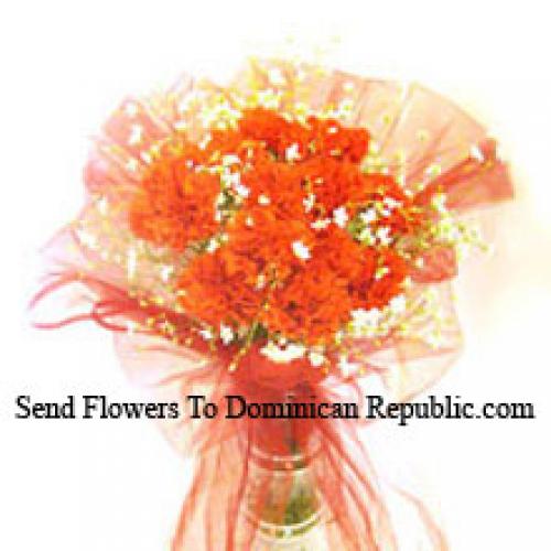 12 Orange Carnations in Vase