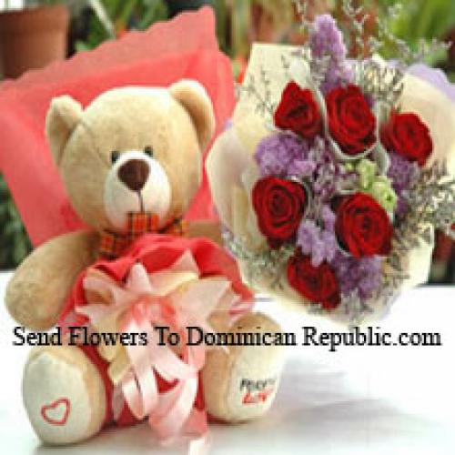 Beautiful Teddy with Lovely 6 Roses